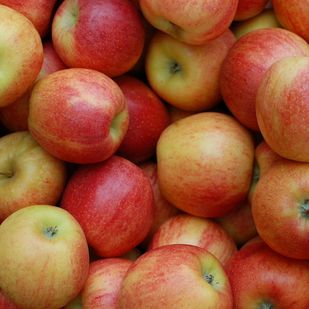 Apple Harvest